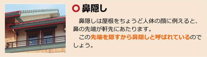 鼻隠し説明