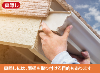 雨樋取り付け鼻隠しのみ
