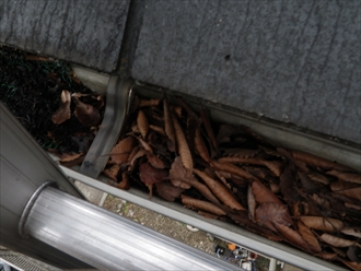 落ち葉で詰まった雨樋