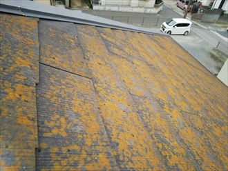千葉市花見川区千種町で行った築18年の化粧スレート屋根の塗膜が剥がれ雨水を吸収しやすくなっています