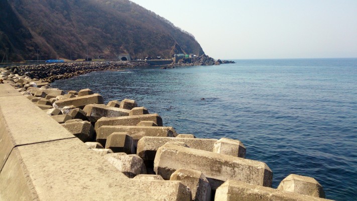 護岸された海岸