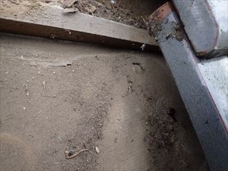 船橋市宮本で防水紙の劣化で穴が開き雨漏り発生