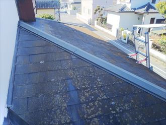 千葉市中央区浜野町で防水性の低下により下屋根に苔やカビが発生