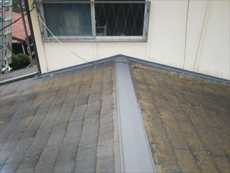 千葉市中央区宮崎町で1階の屋根に苔が発生