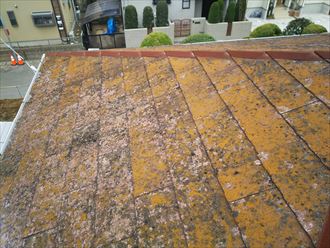 船橋市海神でスレート屋根全体に苔や藻、カビが発生