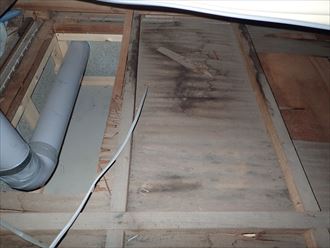 船橋市宮本で雨漏り箇所の小屋裏