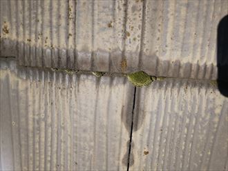 DSC_0167_R