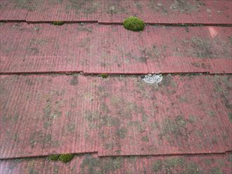 DSC_1045_R