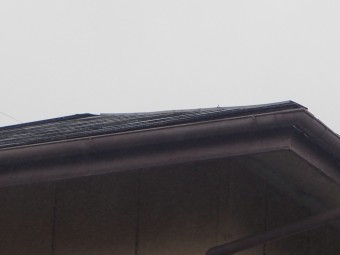 棟板金