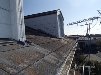 スレート屋根の苔カビ