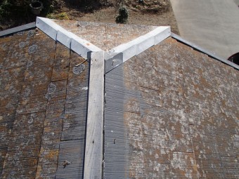 棟板金の飛散調査
