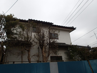 木が建物に異常に近い