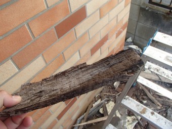 垂木の撤去作業