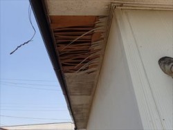 千葉市美浜区 軒天工事前