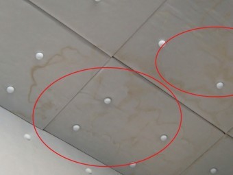 天井から雨漏り、雨染み確認