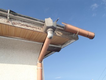 雨どい