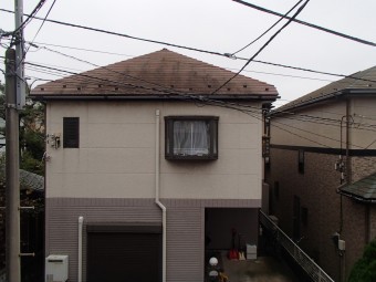 棟板金