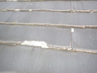 PA150045-columns2