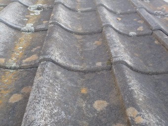 PA180202-columns2