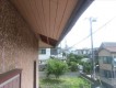 軒天の剥がれ点検