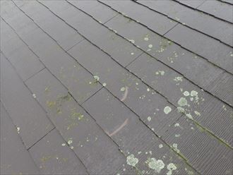 四街道市もねの里で化粧スレート屋根の割れ部分から雨漏りが発生しお困りのお客様邸