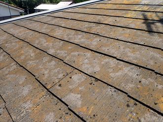 千葉市若葉区千城台で化粧スレート屋根に苔やカビ、藻の発生