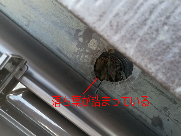 落ち葉が詰まっている