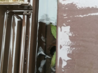 排水口に水が流れていかない.2jpg