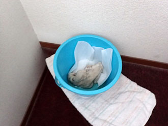 雨漏り