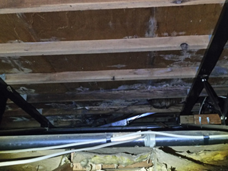 カビが発生している小屋裏