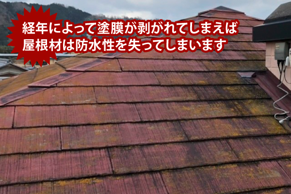 経年劣化で塗膜が剥がれてしまえば屋根材は防水性を失ってしまいます