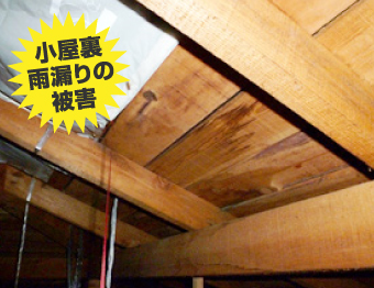 雨漏り被害を受けた小屋裏