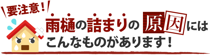 雨樋の詰まりの原因にはこんなものもあります