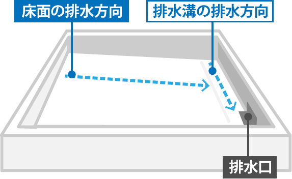 排水溝周辺