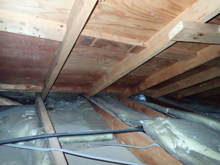 屋根裏の雨漏り痕の確認