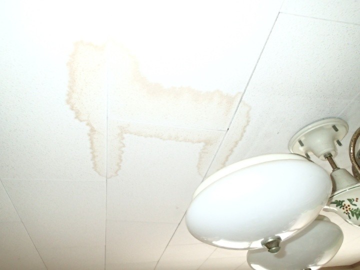 室内天井に残る大きな雨染み