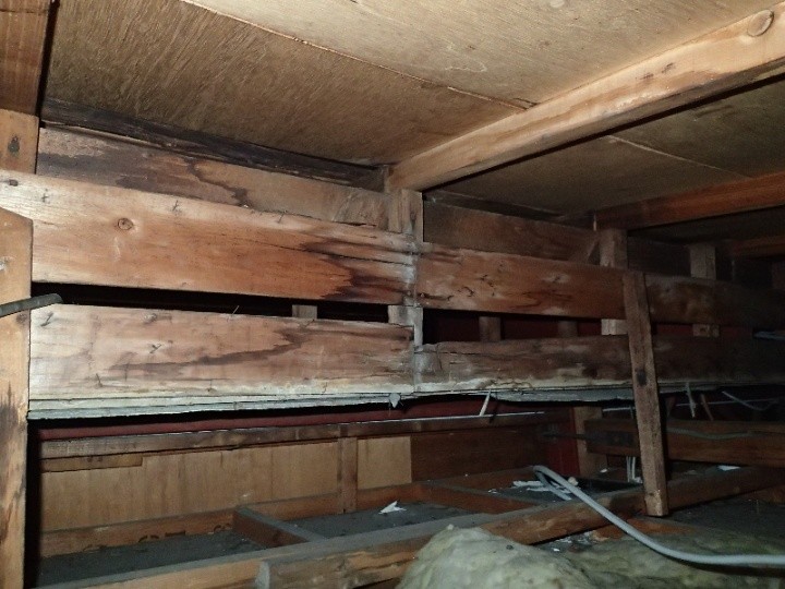 天井裏に残る漏水痕の確認