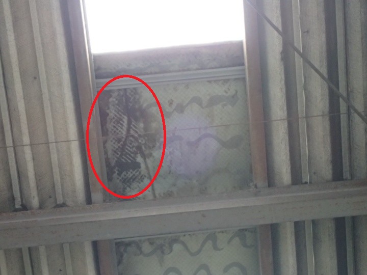 室内から確認した染みの状況