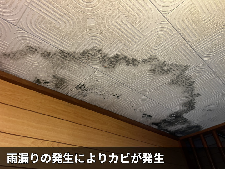 天井に広がるカビ