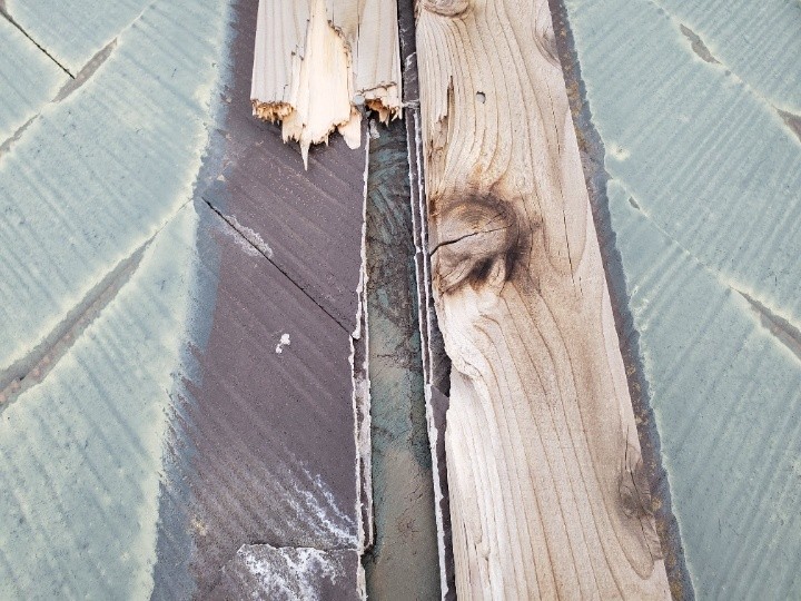 貫板の損傷部分を接写で確認