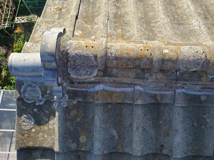 大棟部分の損傷