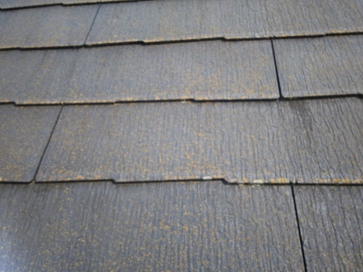 苔・藻の付着状況