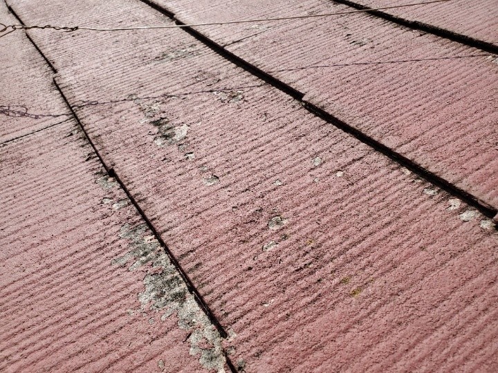 スレート表面の苔の付着