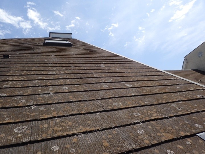 屋根表面の劣化状況