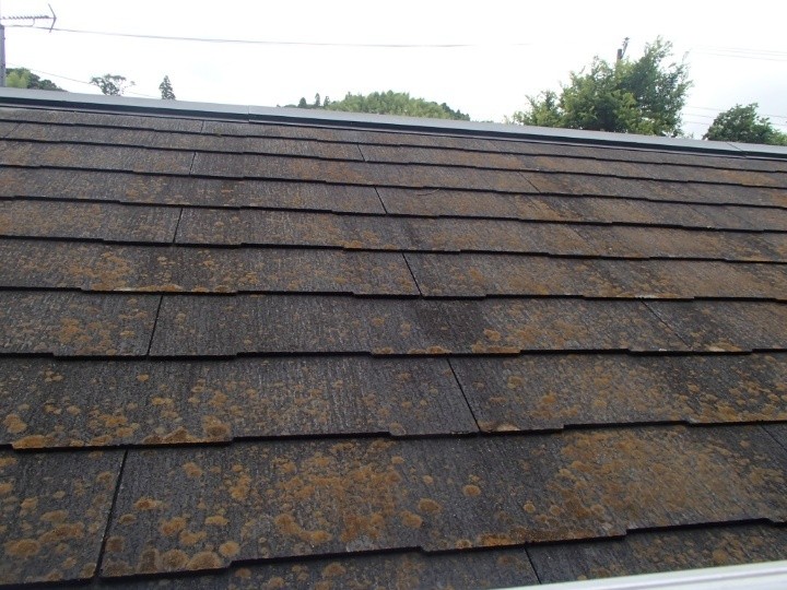 スレート表面の苔・変色