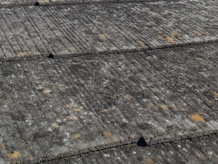 表面の微細な苔と塗膜の摩耗