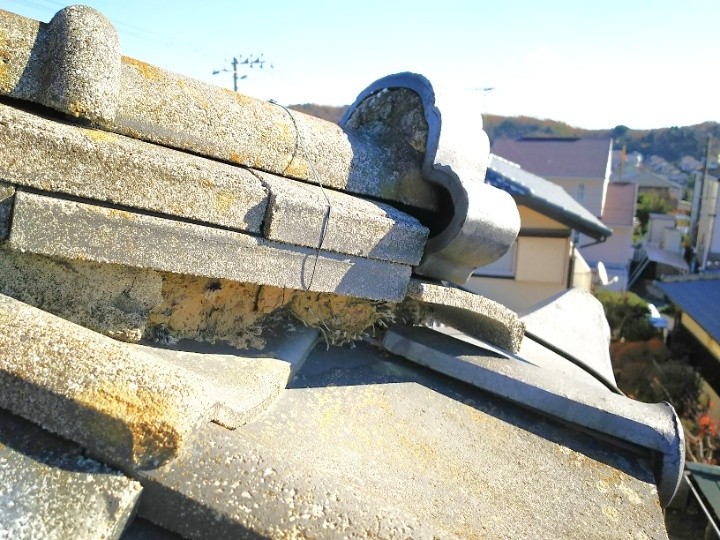 葺き土の露出と植物の侵入
