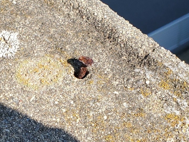 錆びた釘の確認