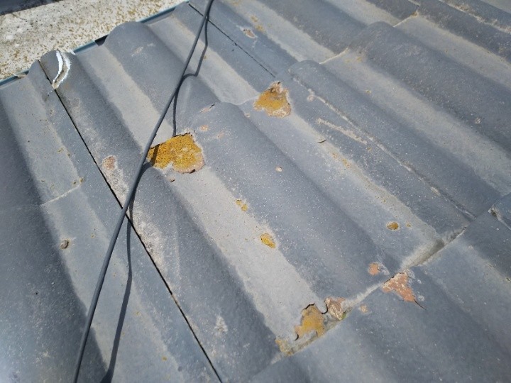 瓦の表面剥離