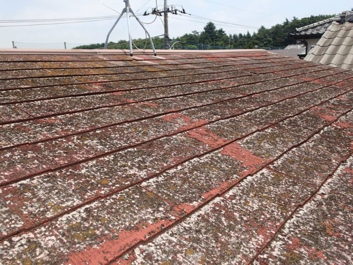 コロニアル全体の著しい退色と苔